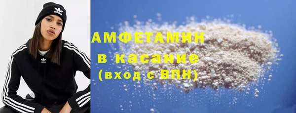 стаф Алзамай