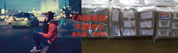 стаф Алзамай