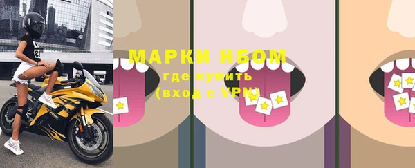 стаф Алзамай