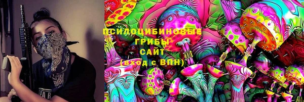 гидра Алексин