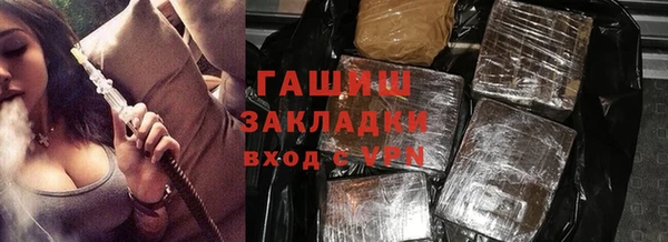стаф Алзамай