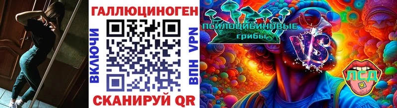 Галлюциногенные грибы прущие грибы  Курганинск 